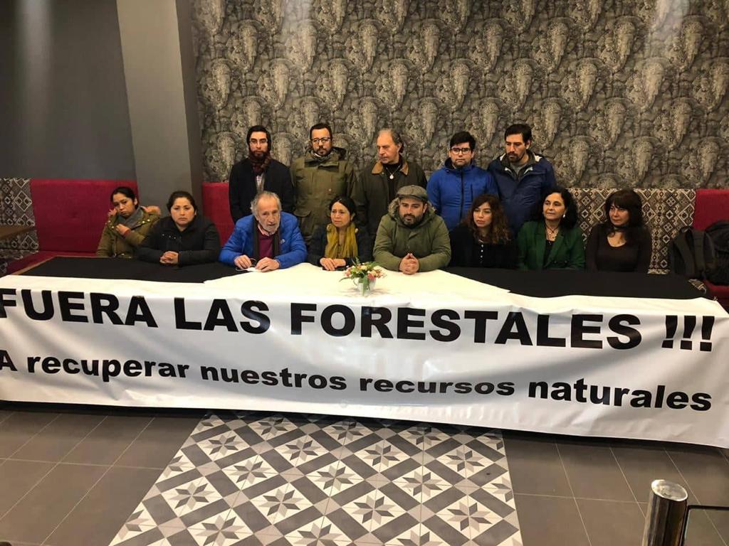 regionalistas social