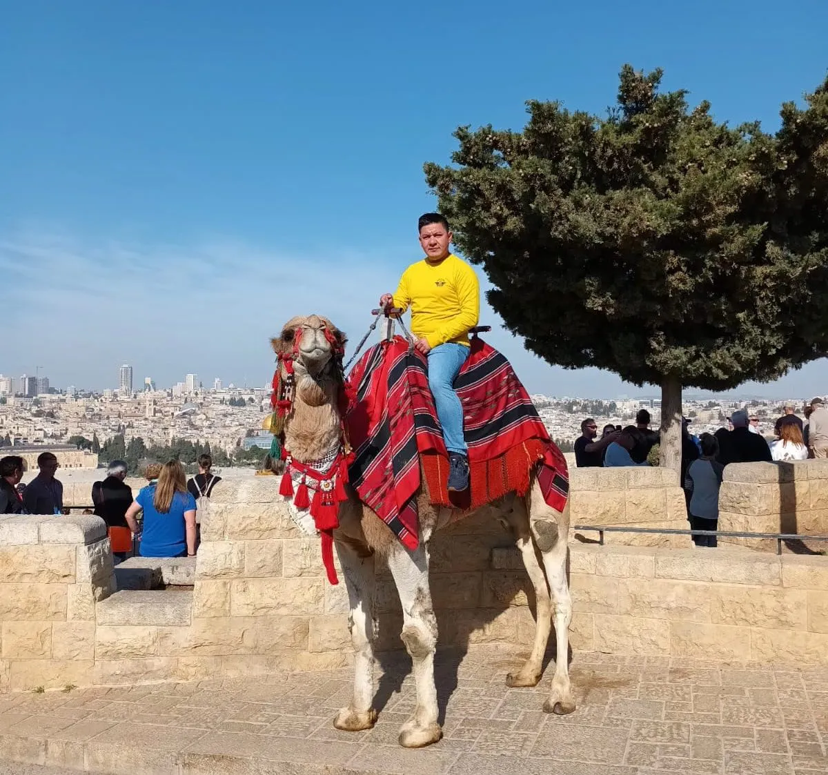 Enrri Banares en camello