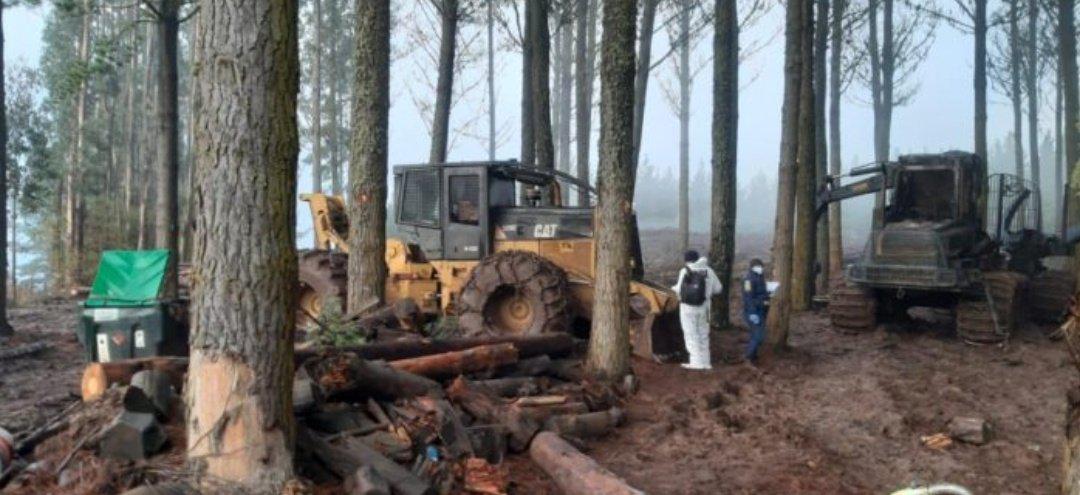 Quema de maquinarias forestales.