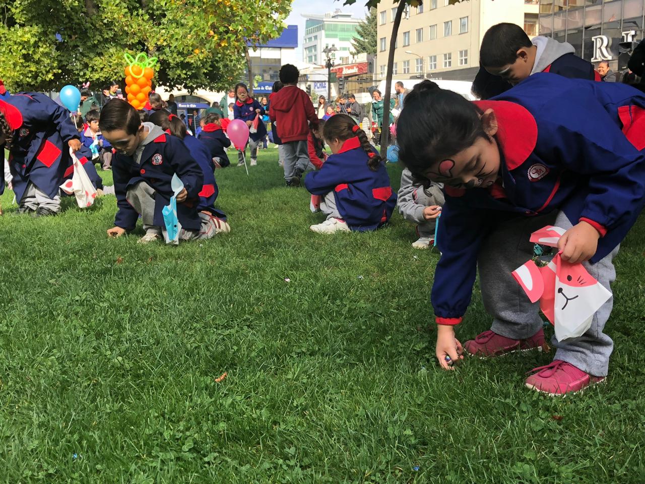 WhatsApp Image 2019-04-17 at 17.25.08