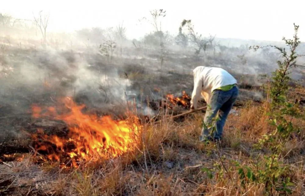 Quema pastizal - imagen referencial