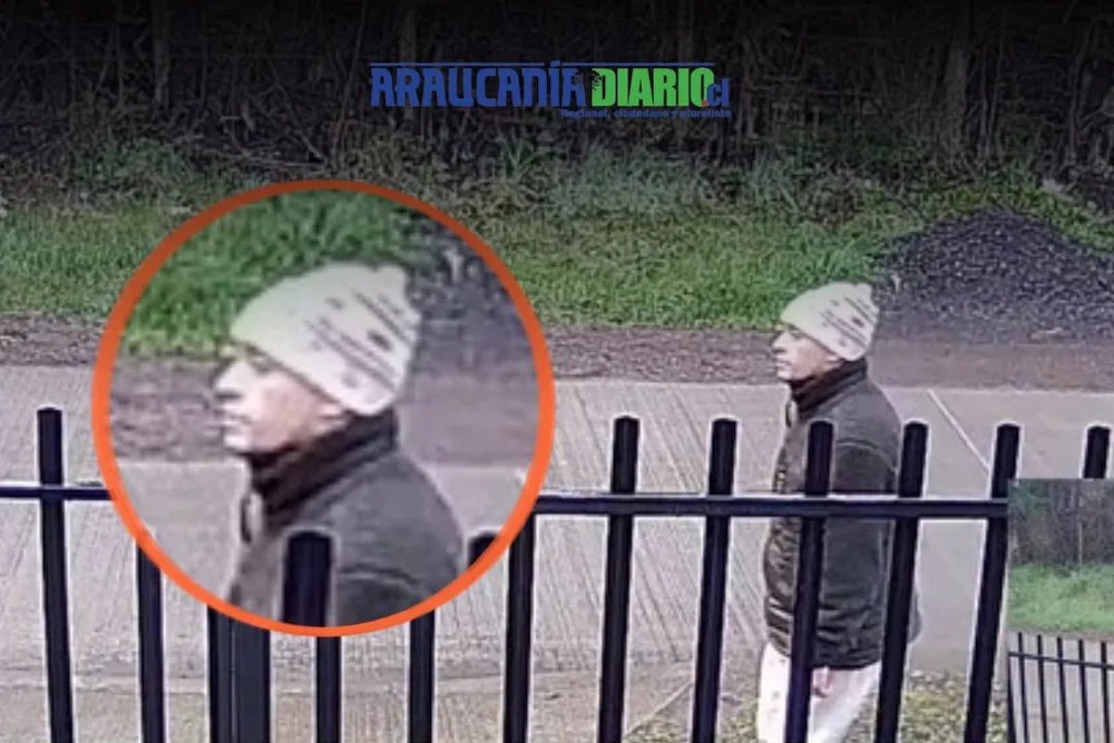 Presunto ladron que ingresa a casas de Labranza
