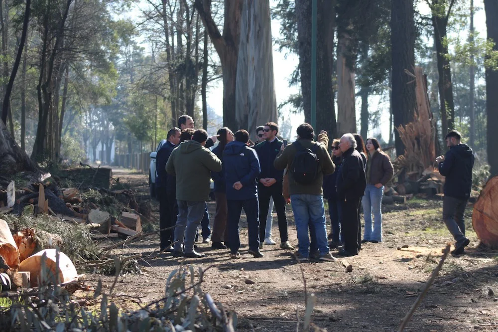 Arboles-para-el-parque-Conaf-002