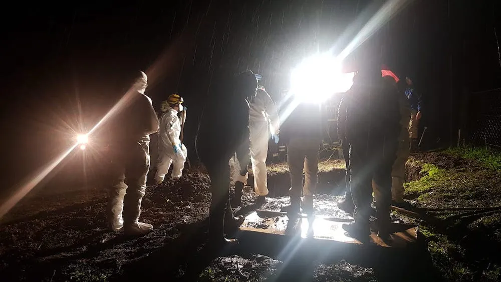 Excavacion en Perquenco