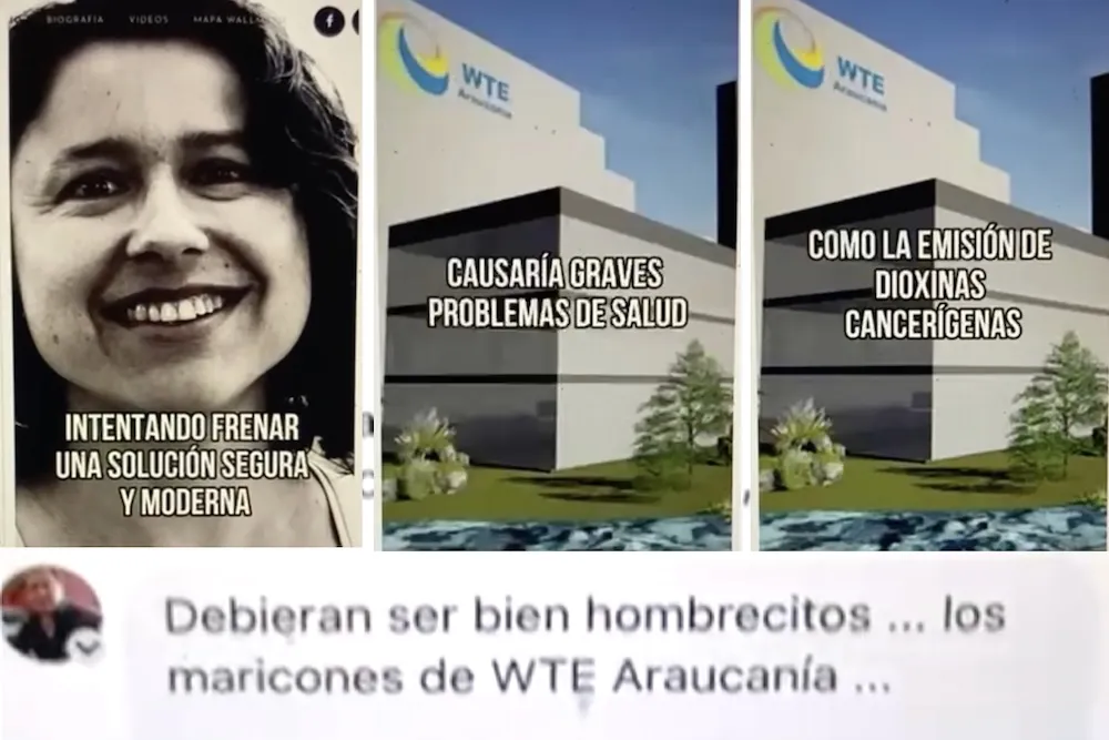Denuncian acoso a defensora del Medio Ambiente Alejandra Parra - WTE Araucania