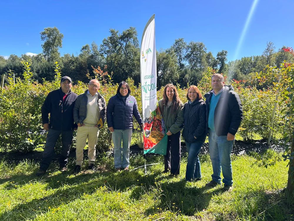 INIA  postcosecha en arándanos