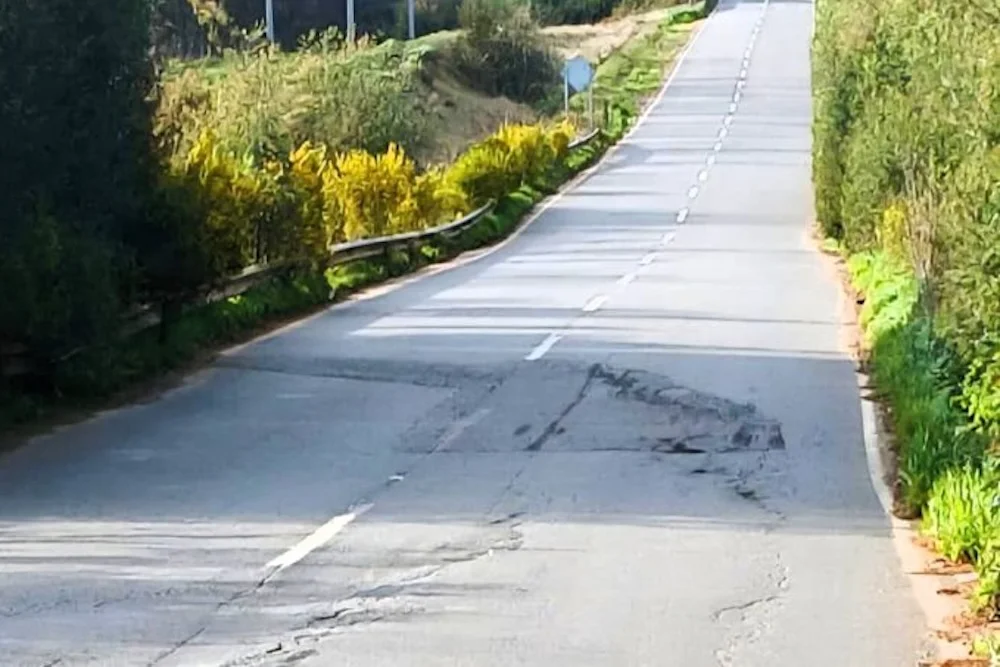 Ruta Los Sauces - Traiguen - mal estado de la calzada