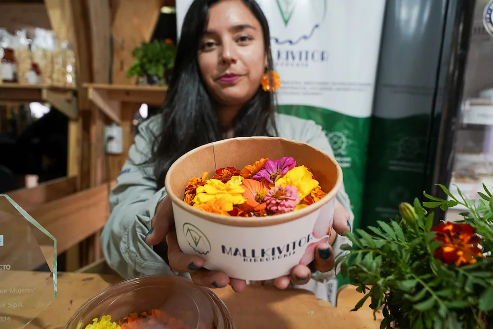 Concurso Festival Ñam 3