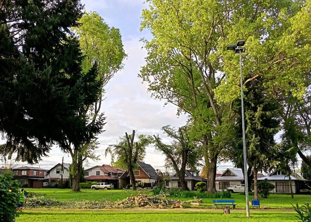 Plaza Entrelagos de Temuco