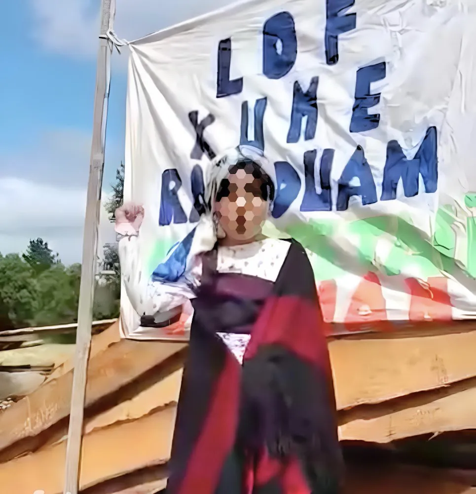 Nina detenida en desalojo en Collipulli