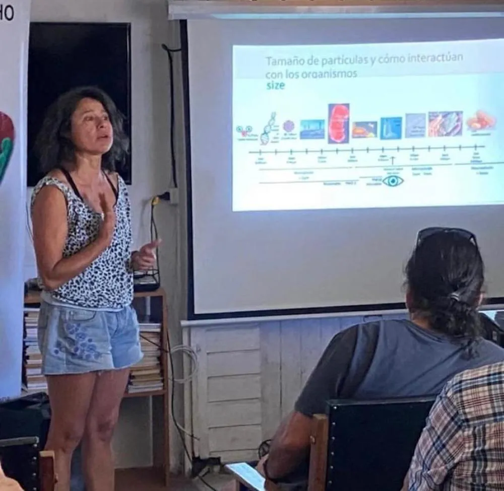 Seminario Basura Cero en Temuco