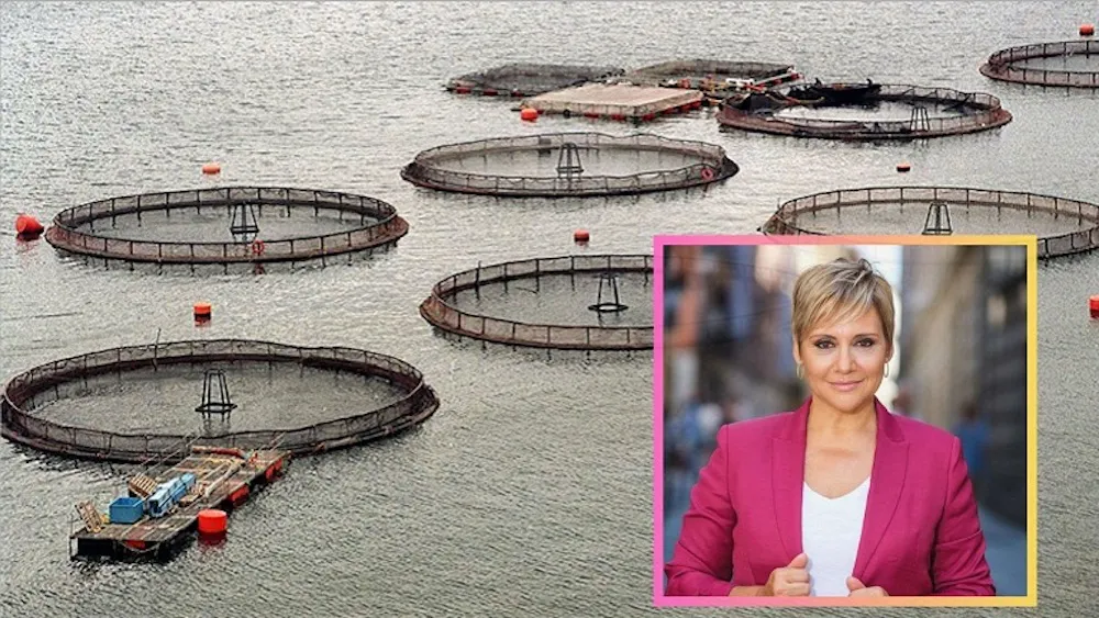 imperio-del-salmon-2