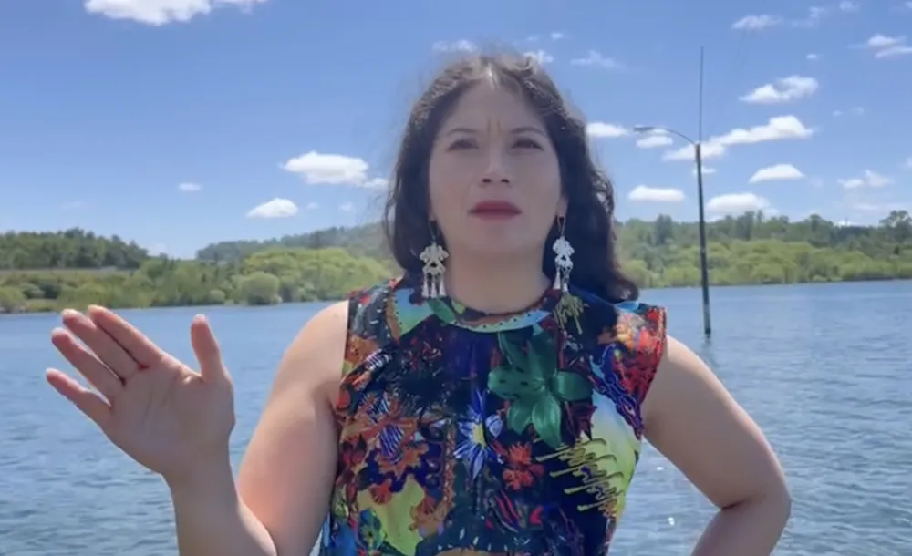 Diputada Ericka Nanco - Caiga quien caiga
