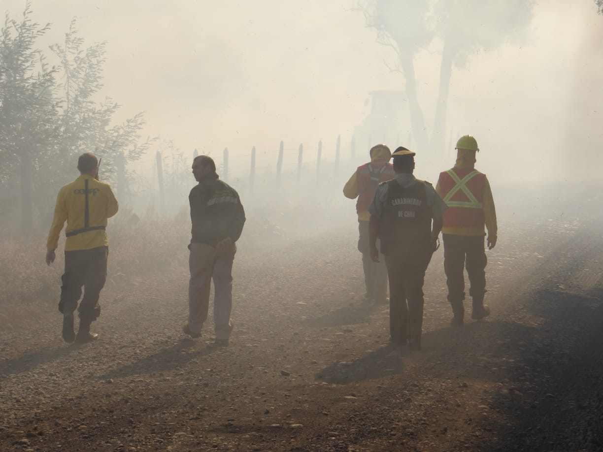 WhatsApp Image 2019-03-10 at 13.22.32