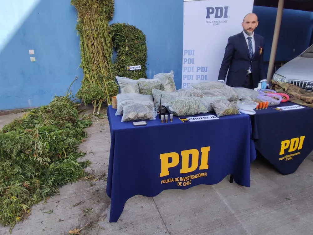 Incautacion marihuana