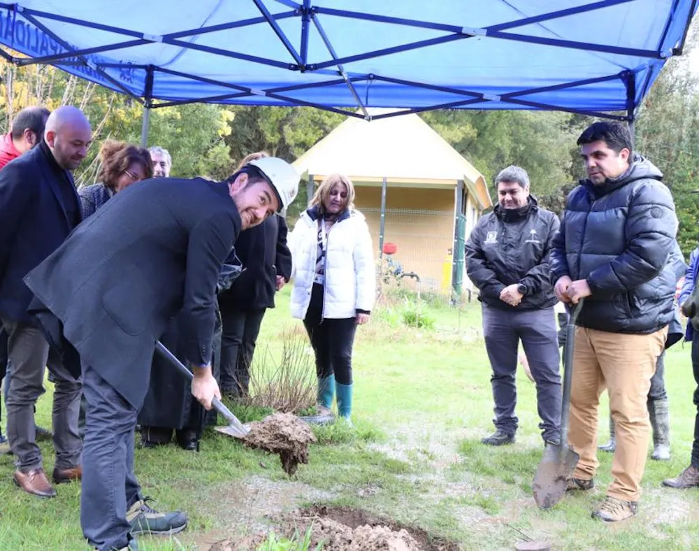 Primera piedra Aniñir
