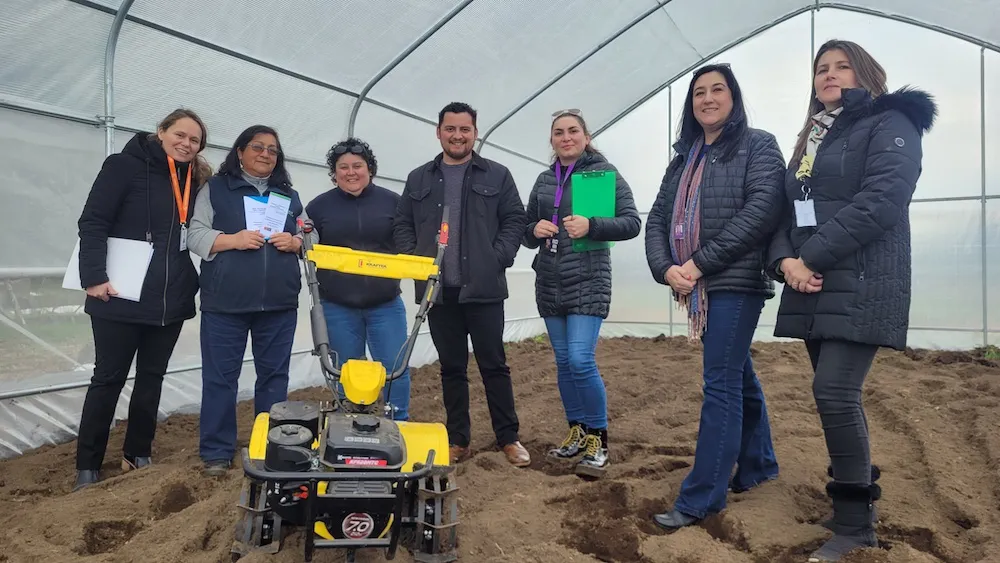 programa en Costa Araucanía