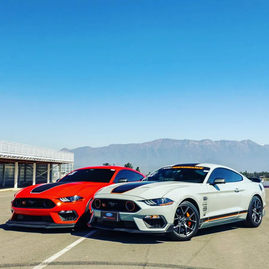 IMG_20221006_191122_274