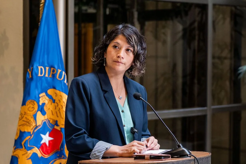Diputada Ñanco