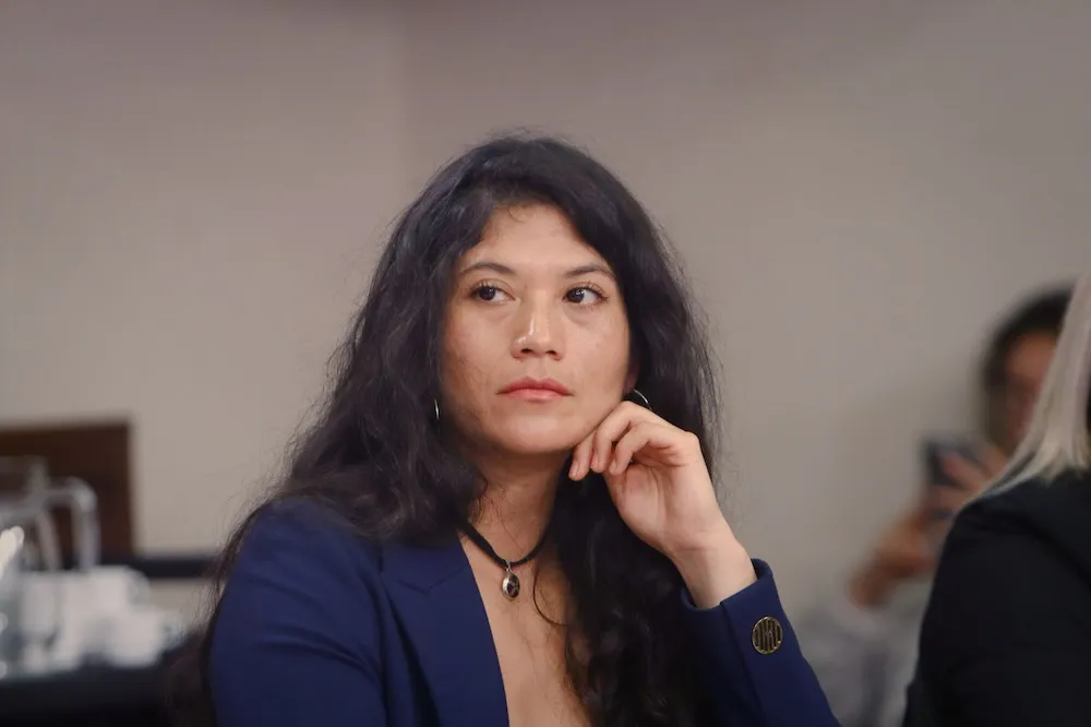 Diputada Ericka Nanco