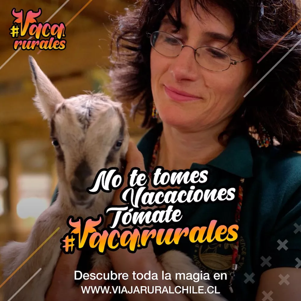 Gráfica campaña ViajaRural