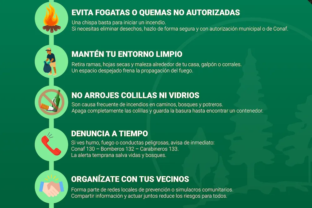 Infografías VH Incendios Prensa-