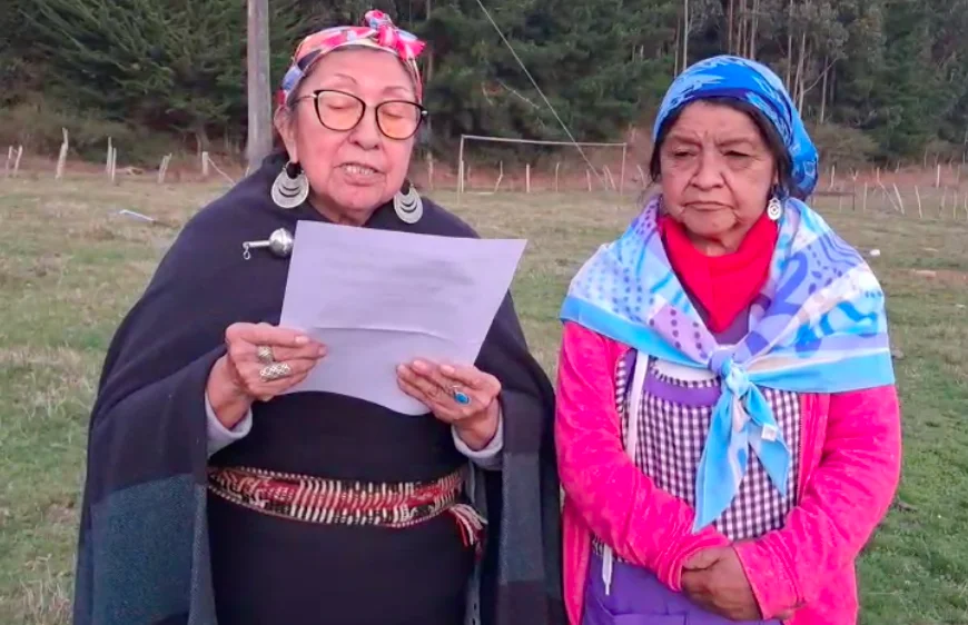 Declaración pública asamblea nacional mapuche
