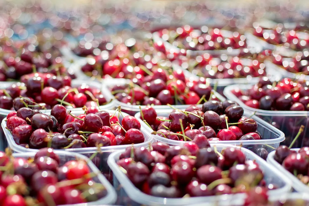 Cerezas