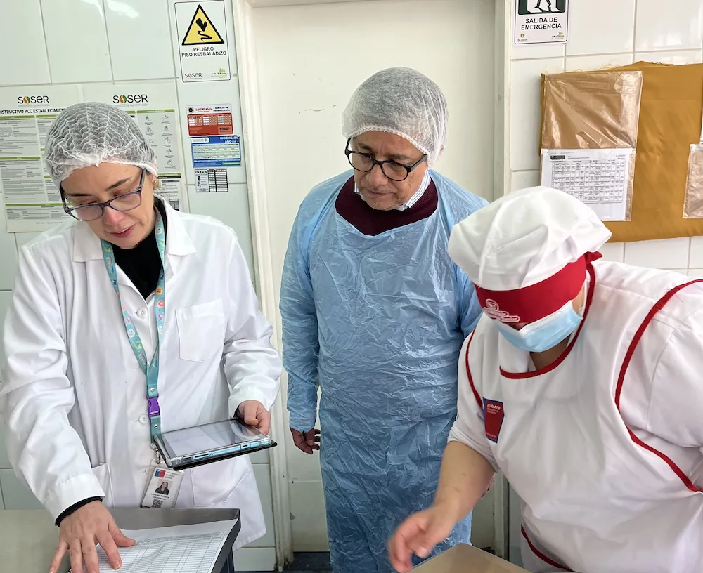 Oferta programátiva verano 2026 (2)