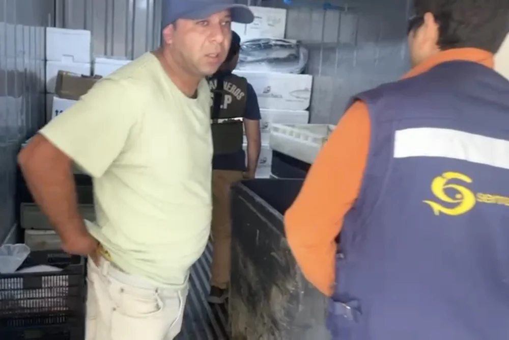 Incautacion de pescado robado en Pueblo Nuevo - Temuco