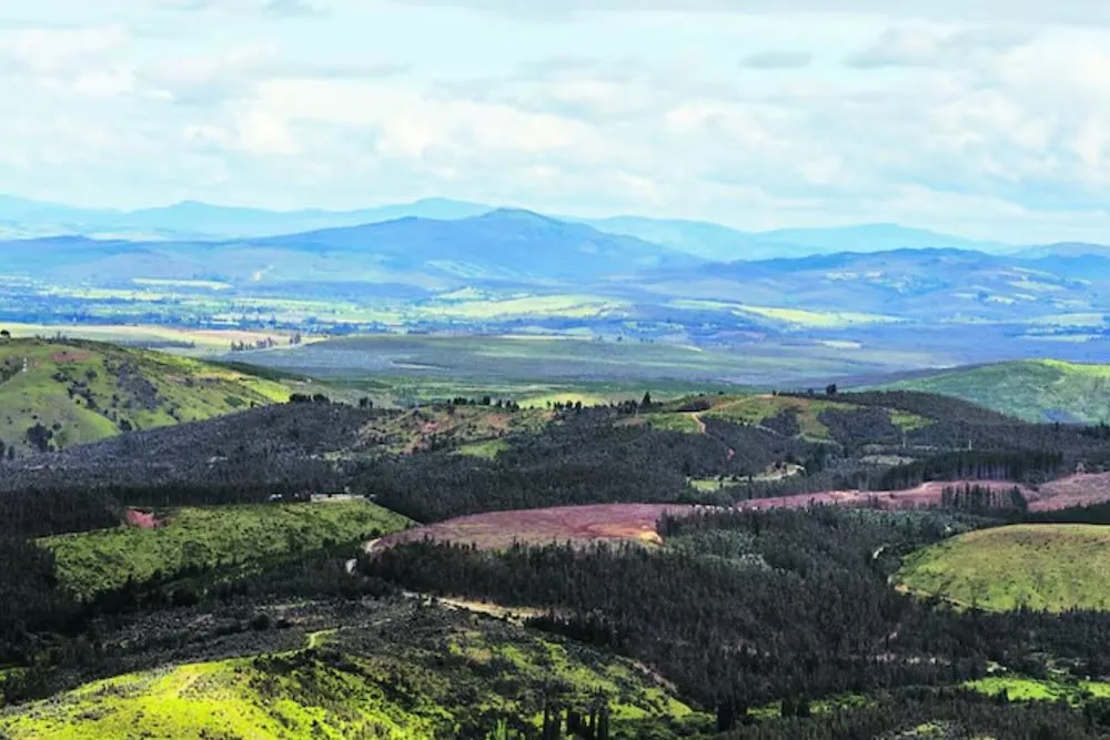 Compra de tierras por la Conadi - Pozo sin fondo