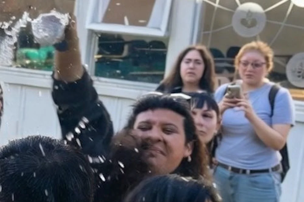 Agresora de la ministra Ximena Lincolao