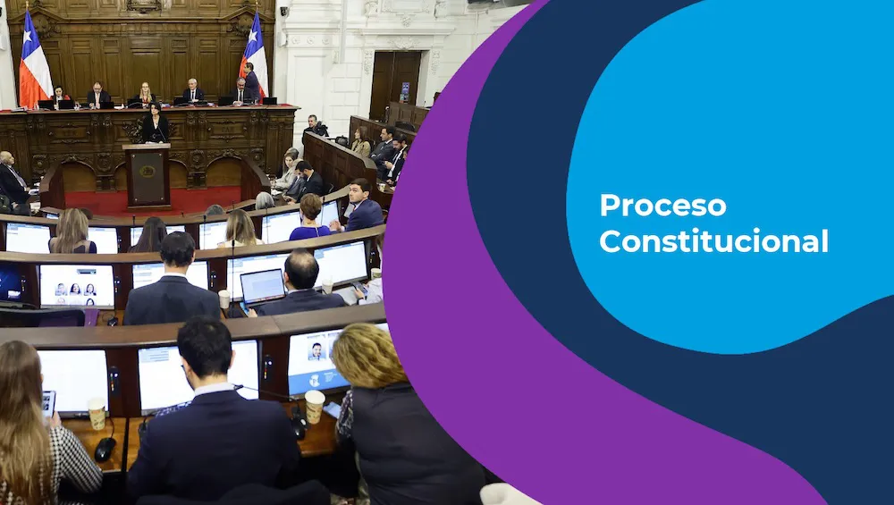 Proceso Constitucional CADEM