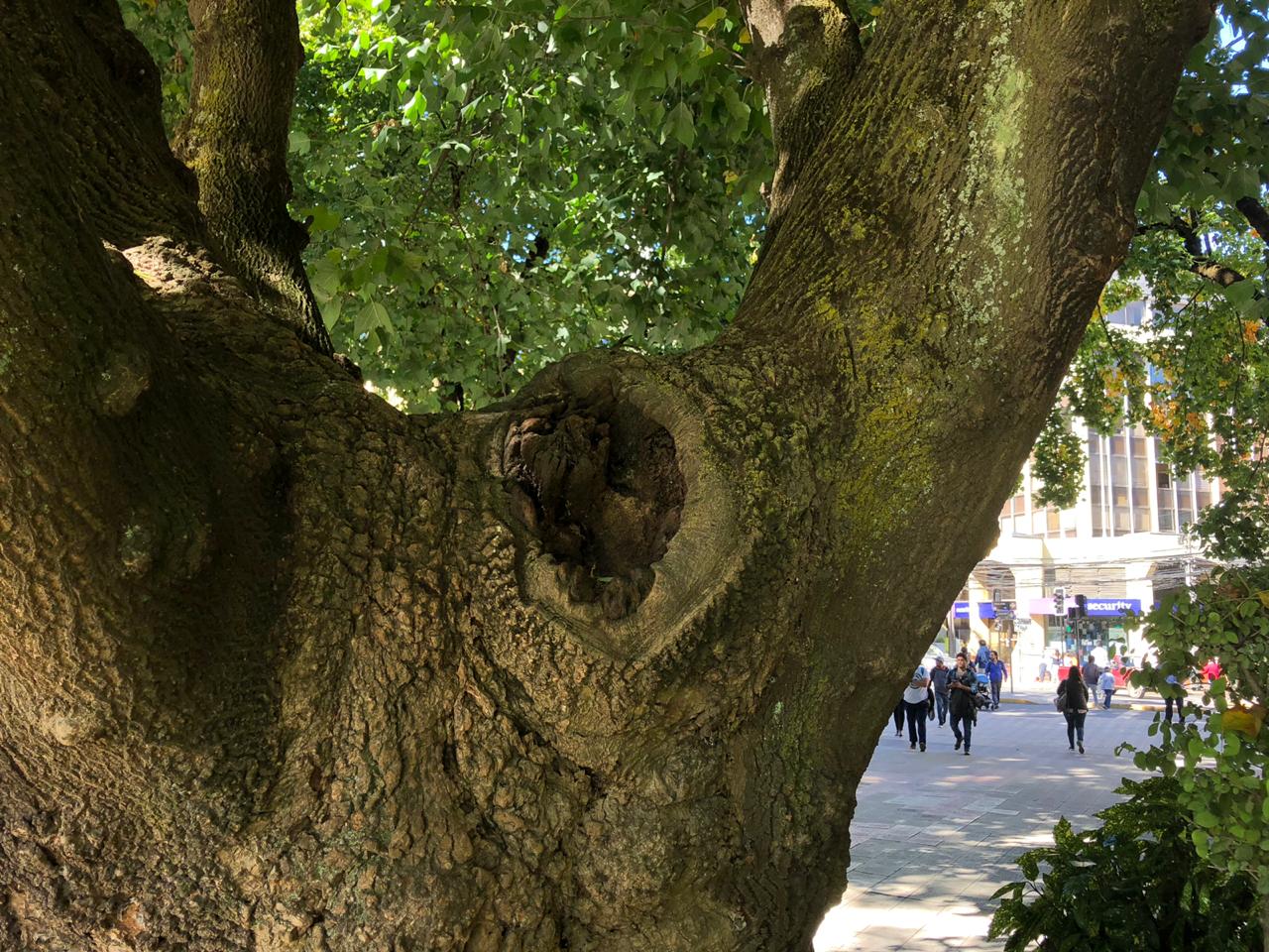 WhatsApp Image 2019-04-07 at 22.43.43