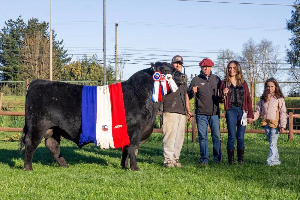 Primera Expo Nacional Angus