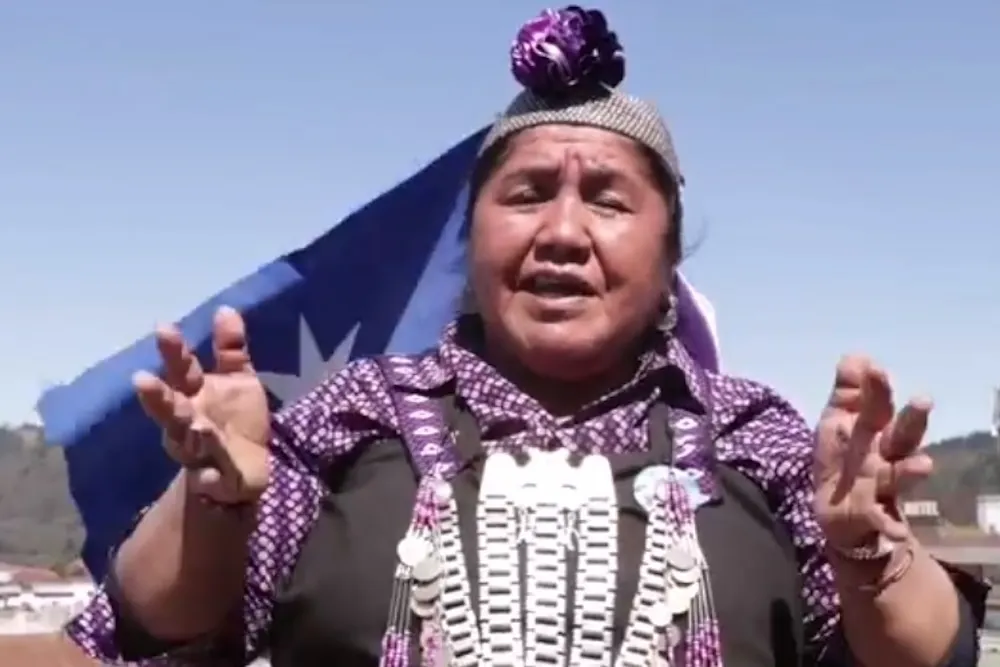 Consejera nacional indigena Ana Llao