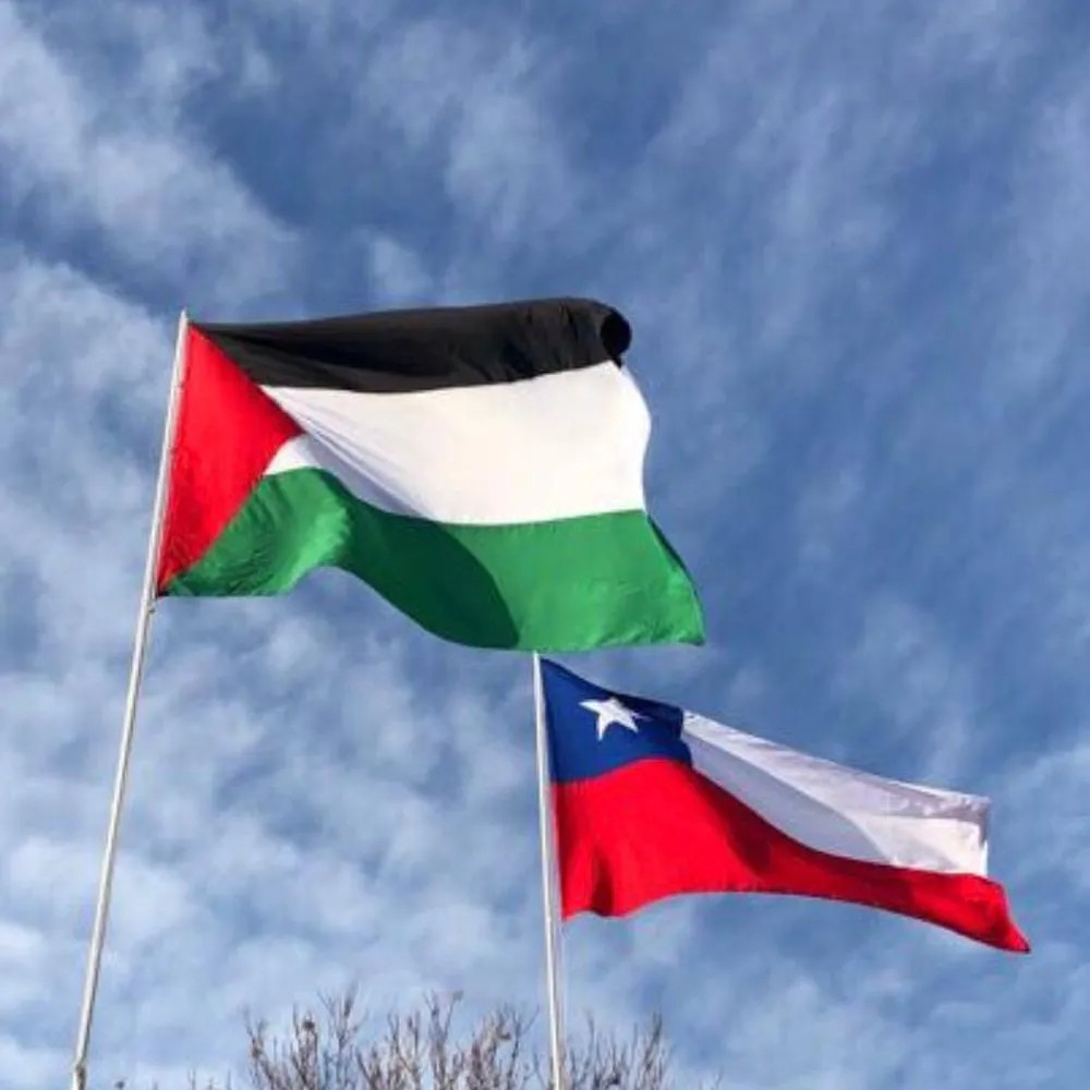 Bandera Palestina y Chilena