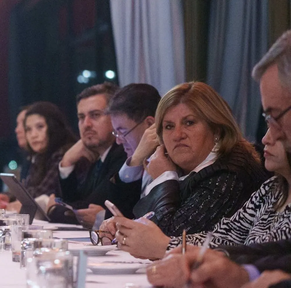 Diputada naveillan en Cerro Castillo