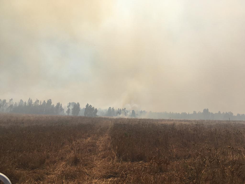 ca099be3-cb4b-4f45-a92e-887614494b2c