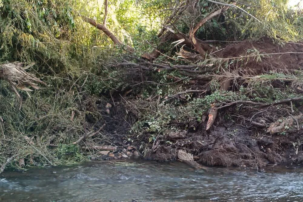 Denuncian intervencion en rio Perquenco