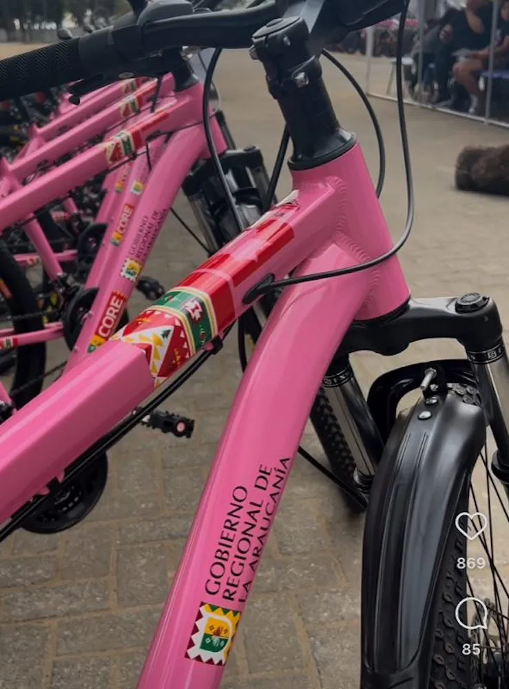 En Bicicleta por Malleco 2