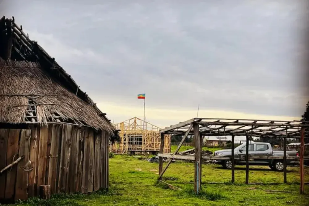 B Consultoria en terreno