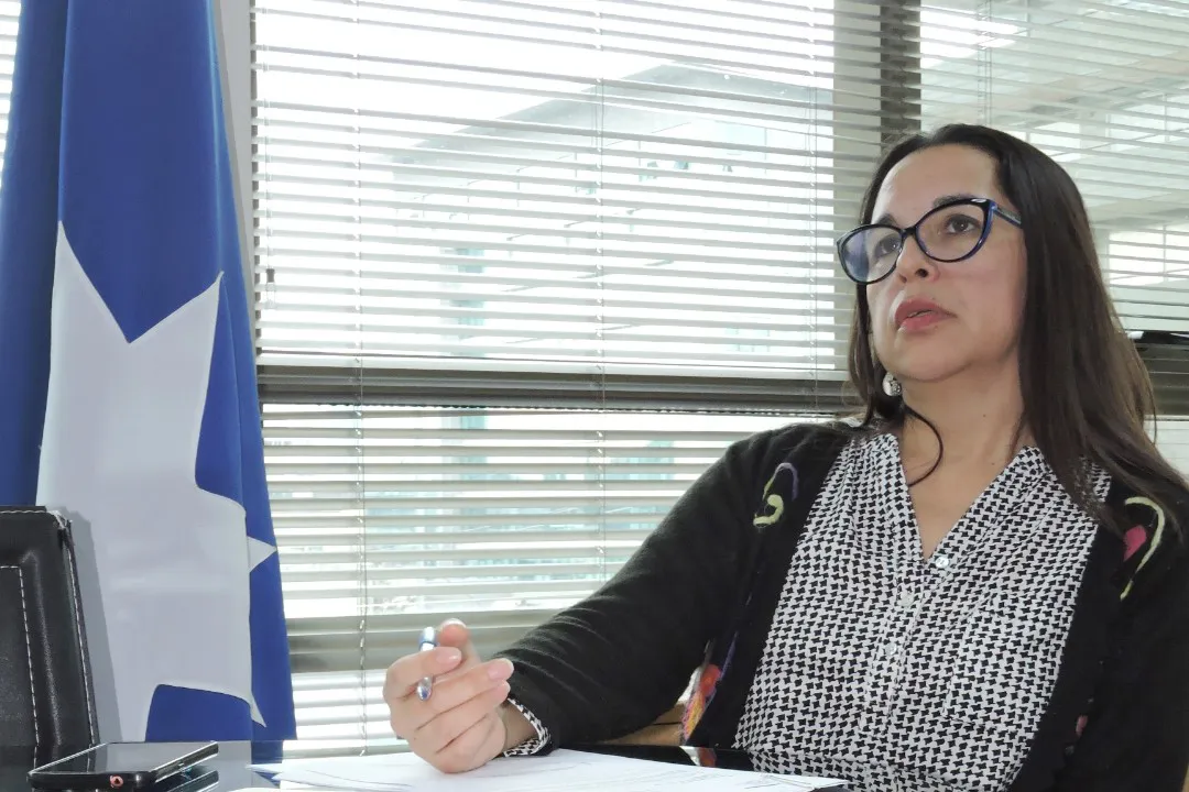 Carmen Gloria Onate - Conadi Sur