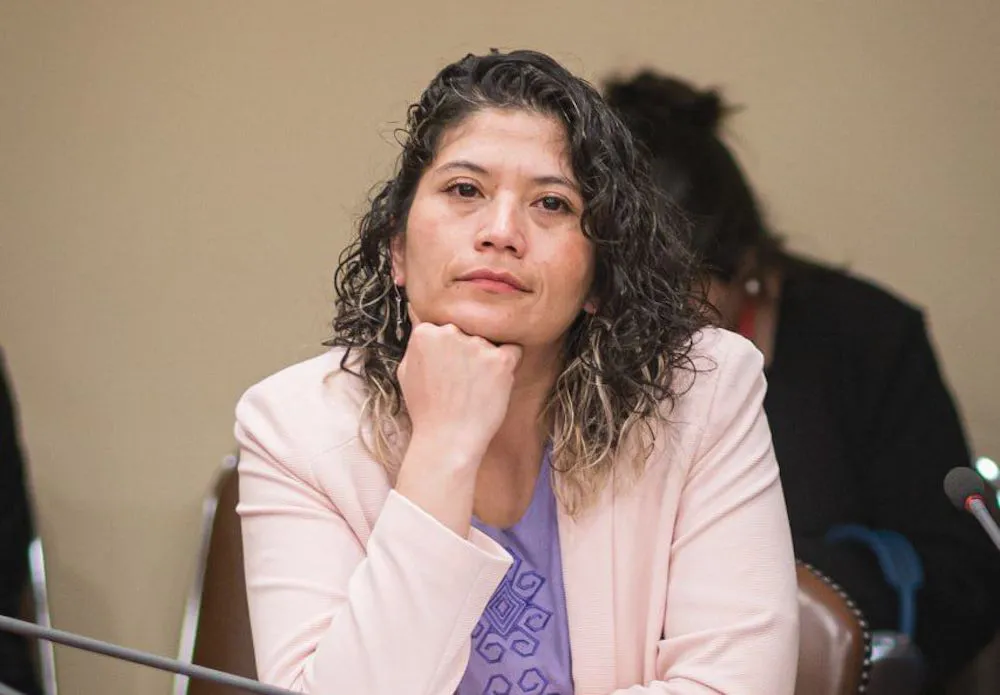 Declaración pública Ley Lafquenche