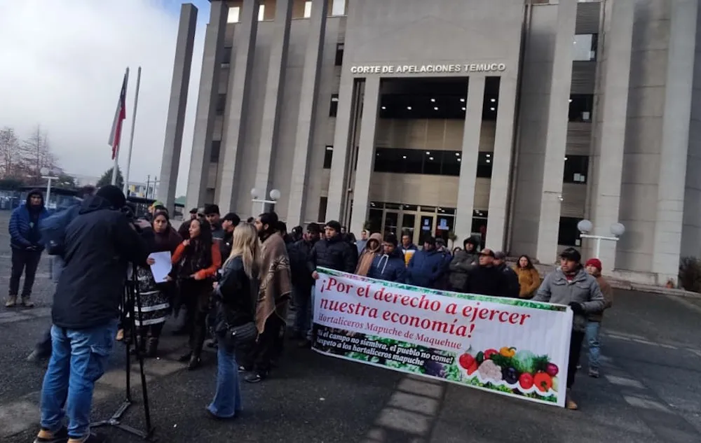 Hortaliceros interponen recurso por Eje Balaceda