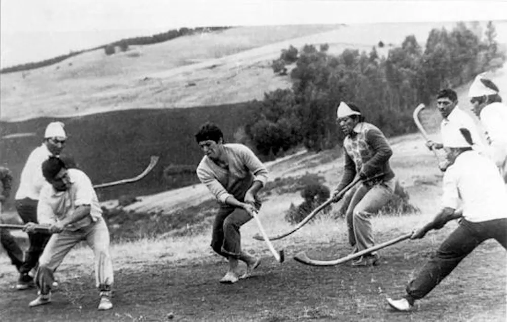 Encuentro de palin - imagen referencial