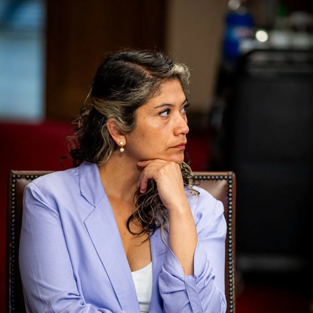 Diputada Ericka Nanco