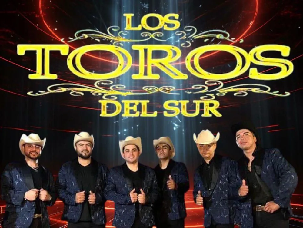 Toros del Sur