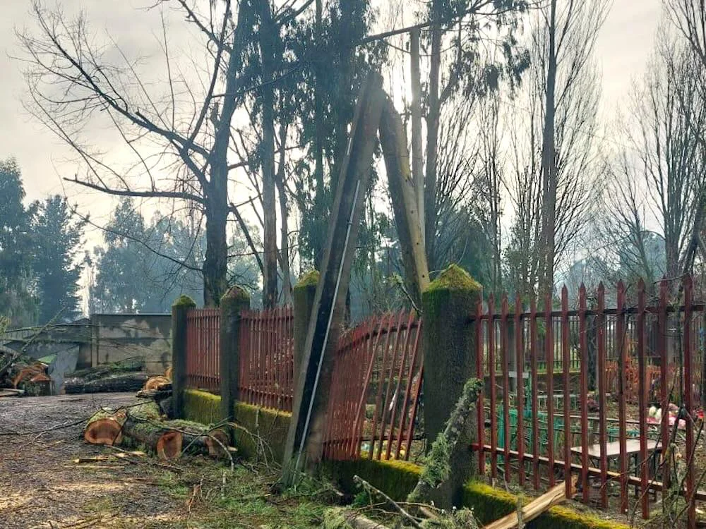 Poste cortado en sector Llamuco - comuna de Vilcun