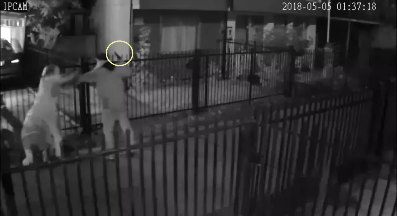 WhatsApp Image 2022-07-14 at 12.35.04 PM